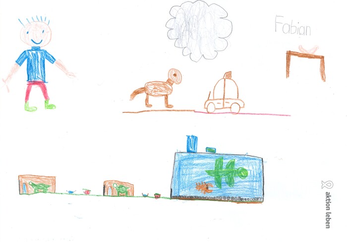 Fabian, 7, Prinzersdorf