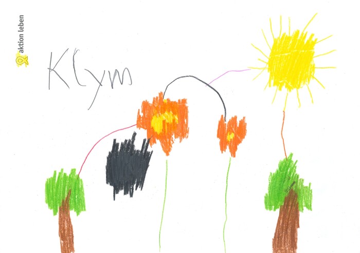Klym, 11, Prinzersdorf